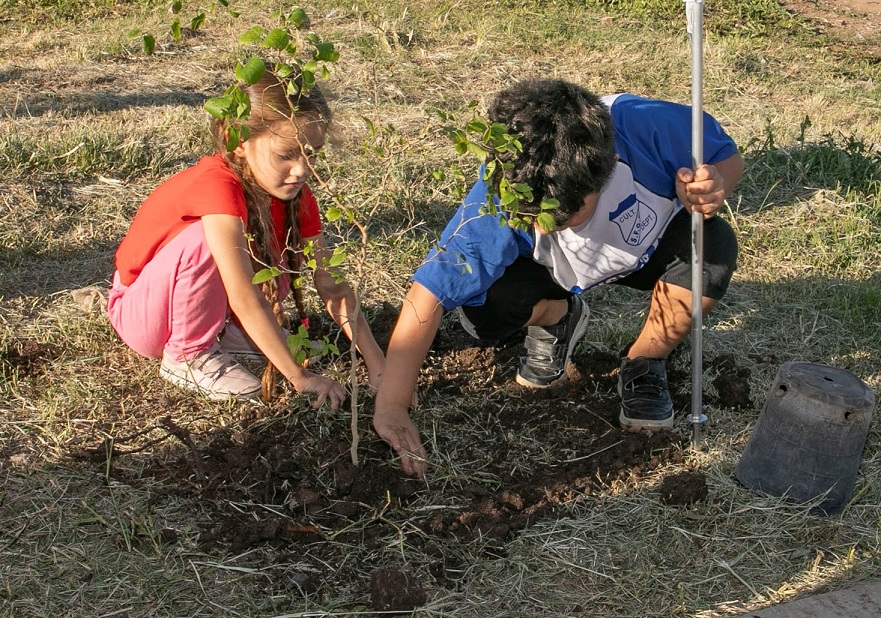Clubes Sustentables para concientizar a niños, niñas y jóvenes